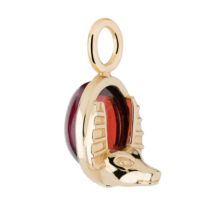 Aquarius Garnet Capsule