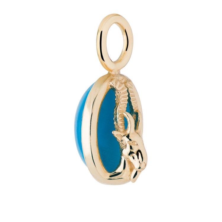 Capricorn Turquoise Capsule