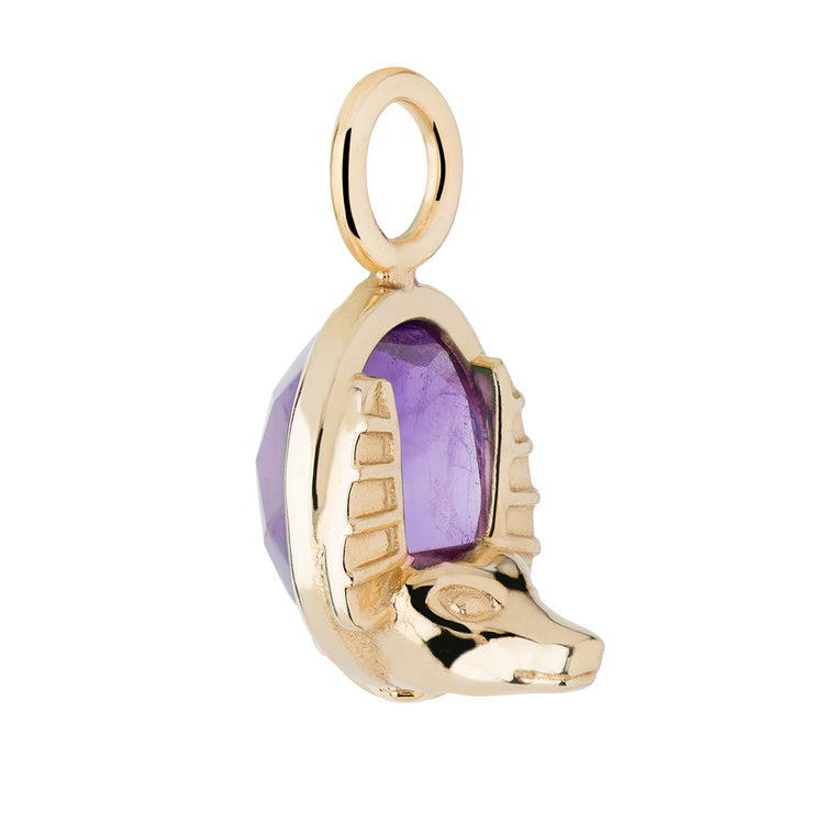 Aquarius Amethyst Capsule