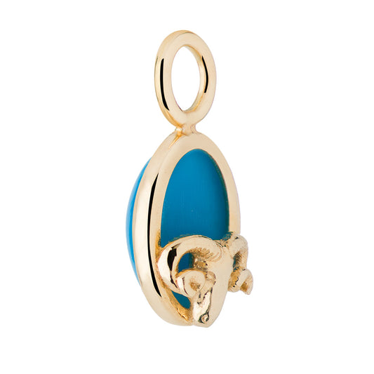 Aries Capsule Turquoise